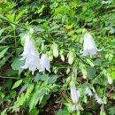 설구산방 이미지