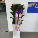 동광양꽃판매장 이미지