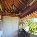 살구나무 한옥민박 이미지