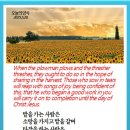 오늘의양식 네이버블로그