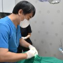 최동식치과의원 이미지