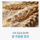 물들임 | 물들임 프리미엄 바이옴 선크림 사용 후기