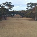 채연농장 네이버블로그