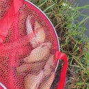 충남주유소 이미지