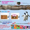 미디어플러스 이미지
