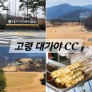 가야대학교(고령) | 고령 대가야CC 2부 라운딩 후기