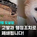 은행농장(염소) 이미지