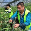 호남농장 이미지