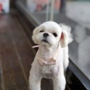 웰케어 동물병원 이미지