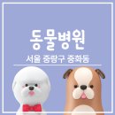 신내동물병원 이미지