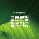 그린시너지 이미지