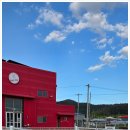 웨이브독 이미지