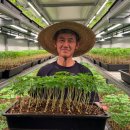 하우리농장 이미지