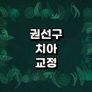 수원 권선구 치아교정 잘하는 전문치과 병원 추천 | 비용 후기 설측교정 돌출입 앞니 투명 무턱 부분...