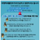 백세플란트치과의원 이미지