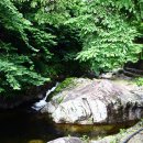 버들치민박 이미지