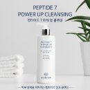 비손 비격