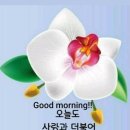 남사예담촌마을 이미지