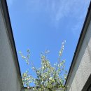 오마이북스테이 이미지