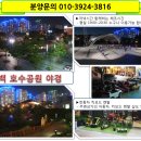 더 포레스트 이미지