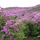 연세예일치과의원 이미지