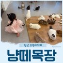 냥떼목장 | 냥떼목장 아이랑 일산 고양이카페 후기
