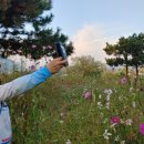 상주시 검찰청 이미지