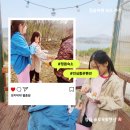 슬로우팜체험펜션 | 정읍 슬로우팜 체험 펜션에서의 마법같은 하루 :) 닭알부터 군감자까지 ~ 정읍숙소 추천