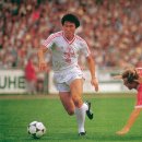 차범근 카카오 검색결과