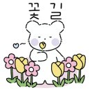 꽃길세탁소 이미지