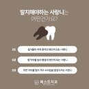 더올바른치과의원 이미지