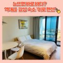 산방산의 품 | 눈뜨면 바로 바다? 역대급 감성 숙소 '이로 펜션' 304호 솔직후기! 제주 서쪽 산방산 뷰까지 찢었다!