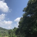 세화문경약돌한우 이미지