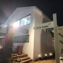 제주애월당귤 이미지