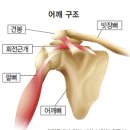 바디앤민필라테스