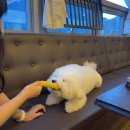 만배네