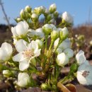 귀농지원센터 화장실 이미지