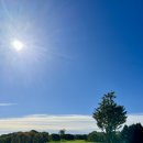 숲에그린골프클럽 | 공항에서 30분! 홋카이도 골프 클럽 라운딩 후기⛳️ 그린·뷰 완벽 조합