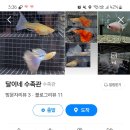 마두역 7번출구 옆 이미지