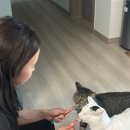 평화로04 이미지