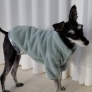 더좋은 동물병원 이미지