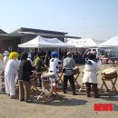 유치2리 마을회관 뉴시스
