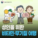 건강 식생활 가이드!📕 비타민·무기질 여행🚢(성인편) [식약지킴이] 이미지