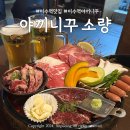 야끼니꾸 소량 이수점 | [서울/동작] 이수역 야끼니꾸 맛집 [이자카야 소량 이수점]소량카세 후기
