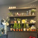 리즈플라워 이미지