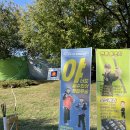 민들레장 이미지