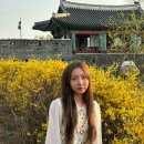 미금역 헤어샵 추천 메이원헤어 /염색후기 (윤서 디자이너)