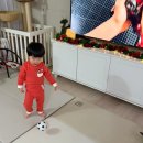 오니비니 이미지