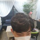 리즈파마 이미지