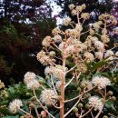 명덕호수공원 이미지